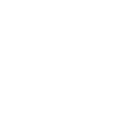 ashwagandha goli original